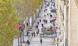Avenue des Champs-Élysées (8e) © Apur - David Boureau