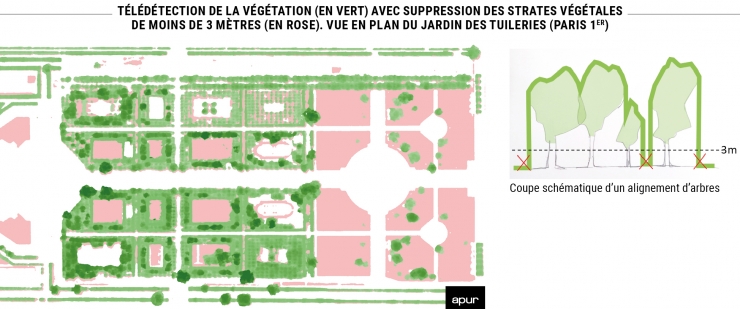 Télédétection de la végétation (en vert) avec suppression des strates végétales de moins de 3 mètres (en rose). Vue en plan du jardin des tuileries (Paris 1er). © Apur