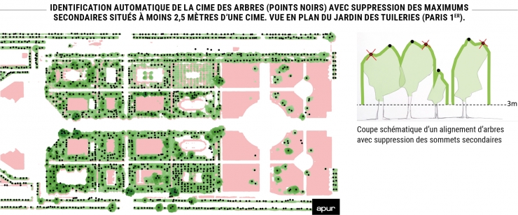 Identification automatique de la cime des arbres (points noirs) avec suppression des maximums secondaires situés à moins 2,5 mètres d’une cime. Vue en plan du Jardin des Tuileries (Paris 1er). © Apur