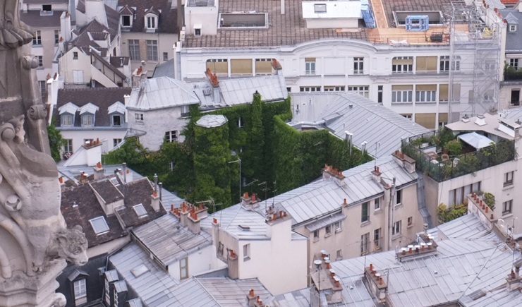 Vue aérienne d'une cour végétalisée, rue Chanoinesse dans le 4e arrondissement de Paris © Apur
