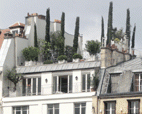 Study of the potential of greening roof-top terraces in Paris